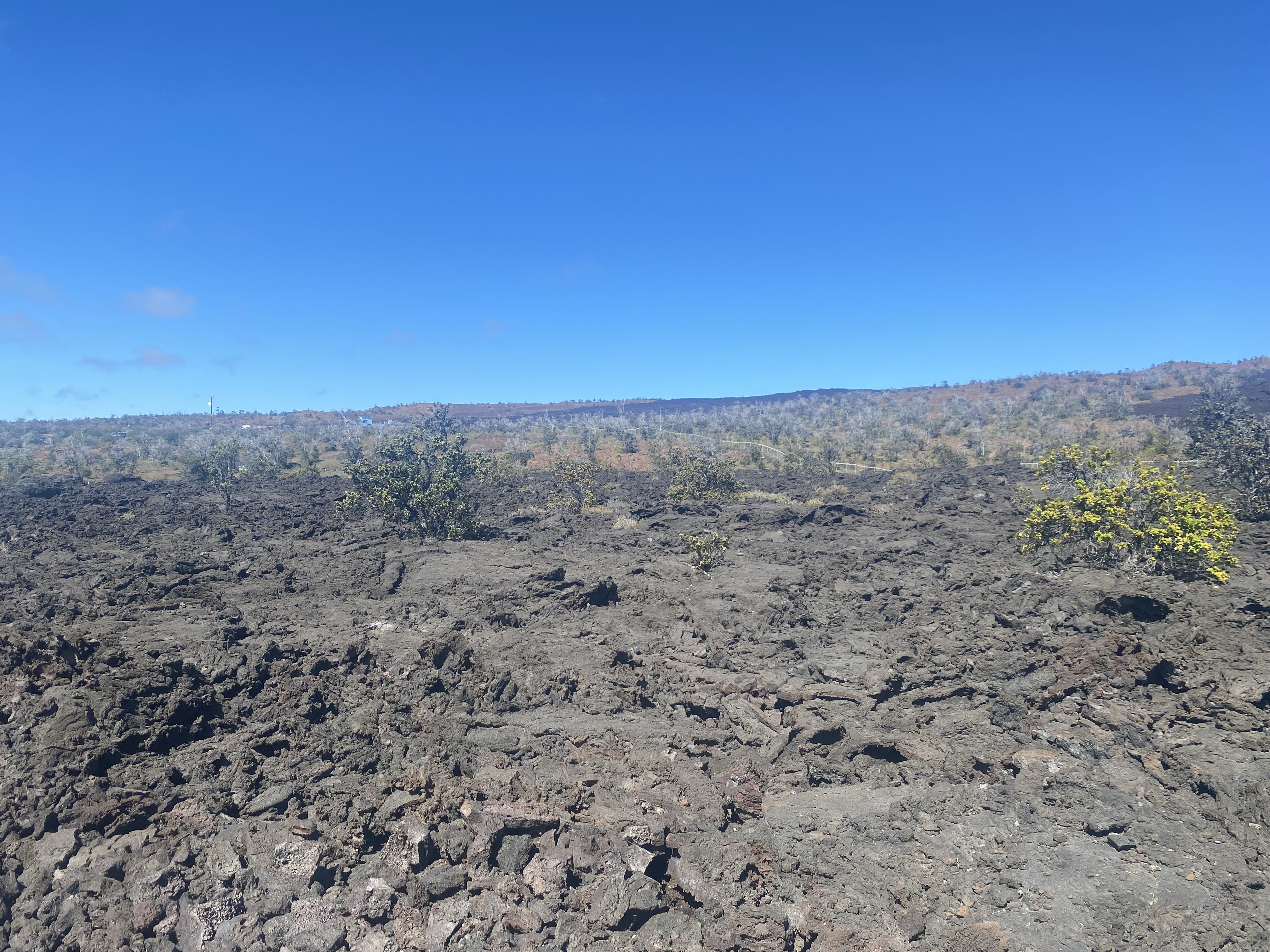 21 Lot Ocean View Ocean View, HI 96704 - Photo 5 of 8 a view of a dry yard with trees