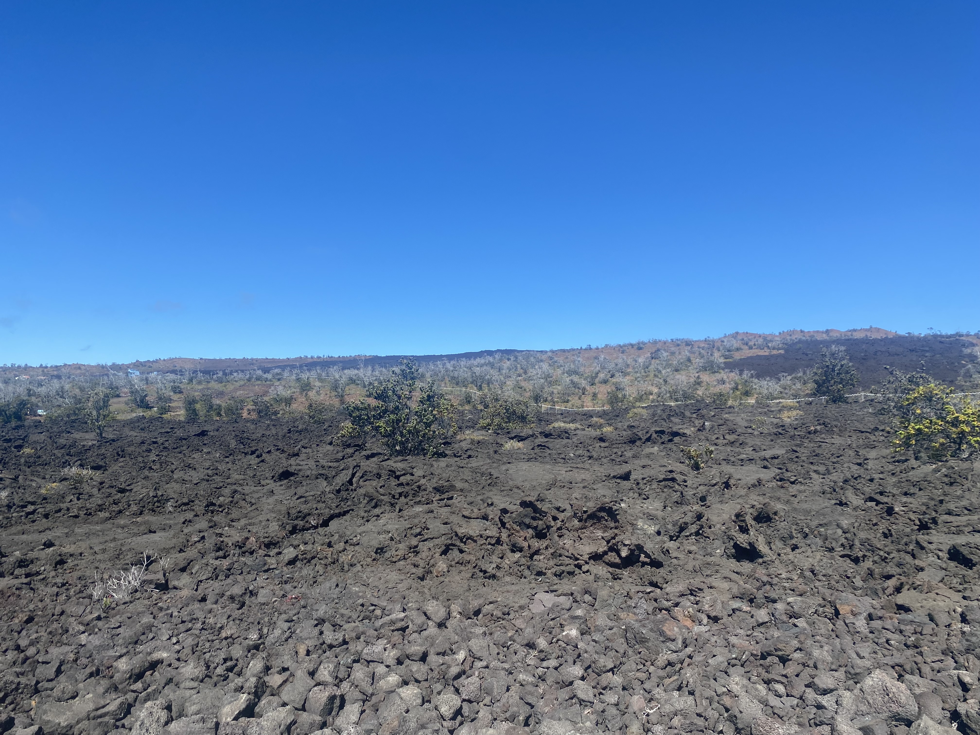 21 Lot Ocean View Ocean View, HI 96704 - Photo 6 of 8 a view of a dry field with trees in the background