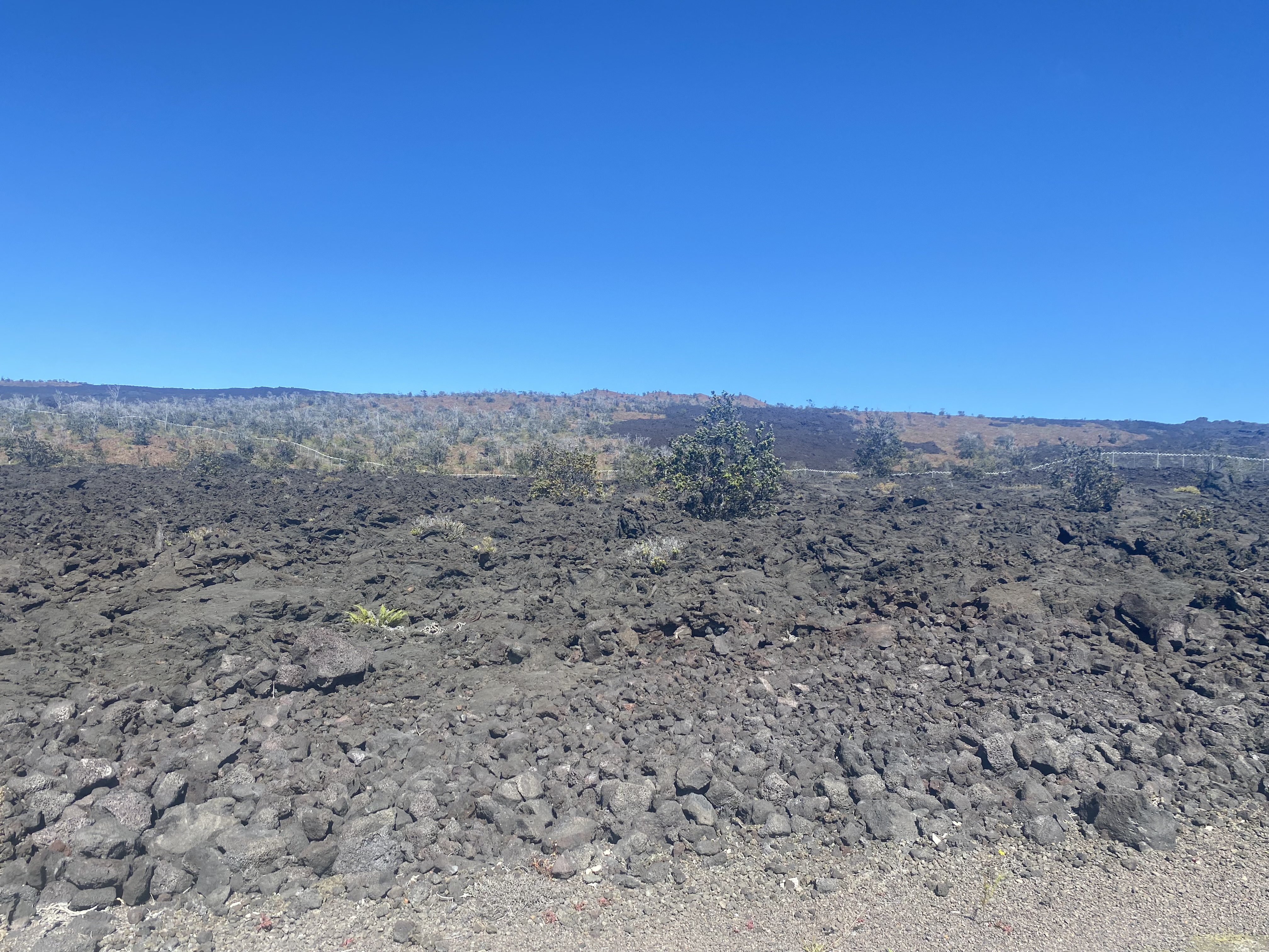 21 Lot Ocean View Ocean View, HI 96704 - Photo 7 of 8 a view of a dry yard with trees