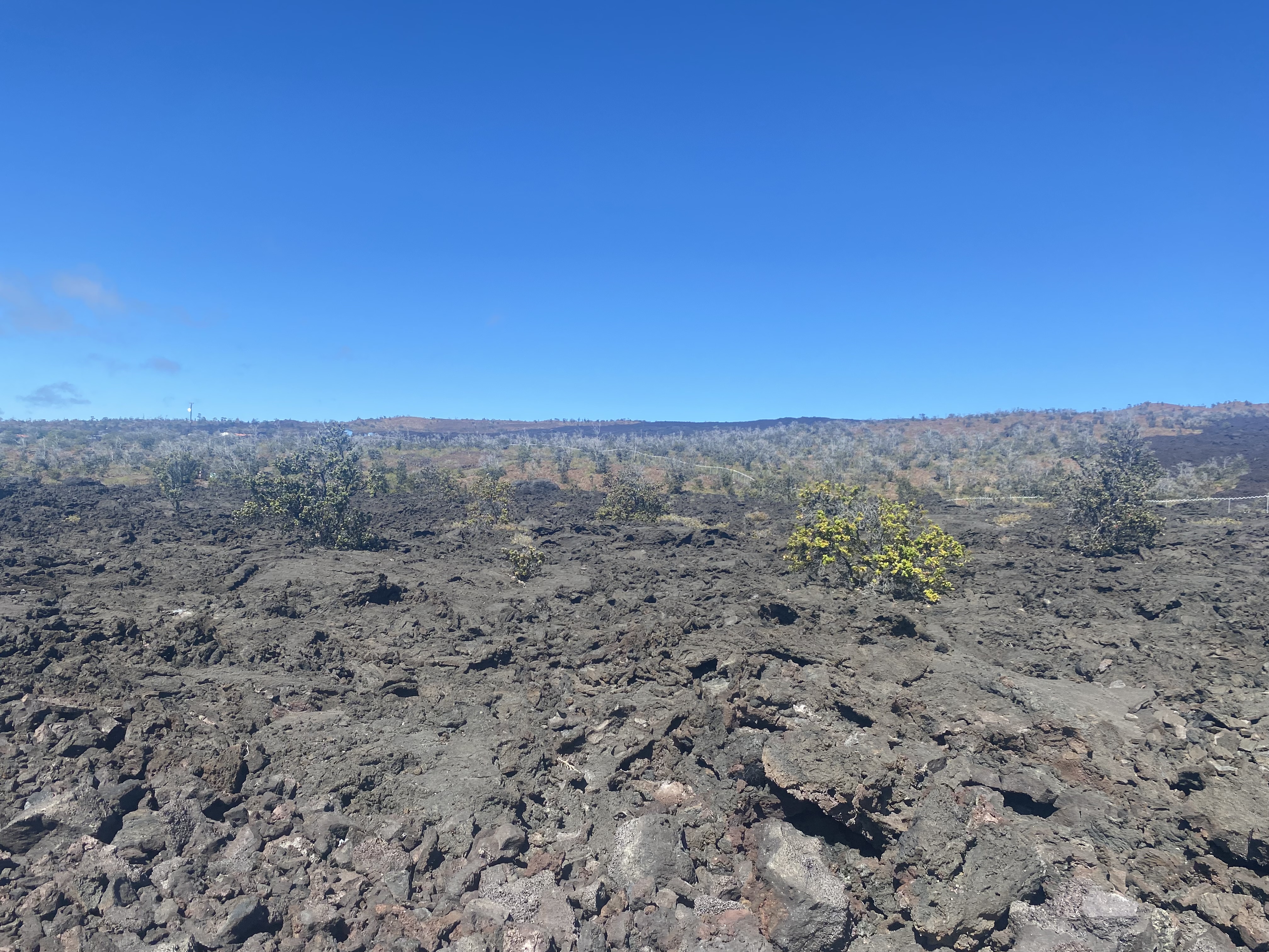 21 Lot Ocean View Ocean View, HI 96704 - Photo 8 of 8 a view of a field with lots of trees