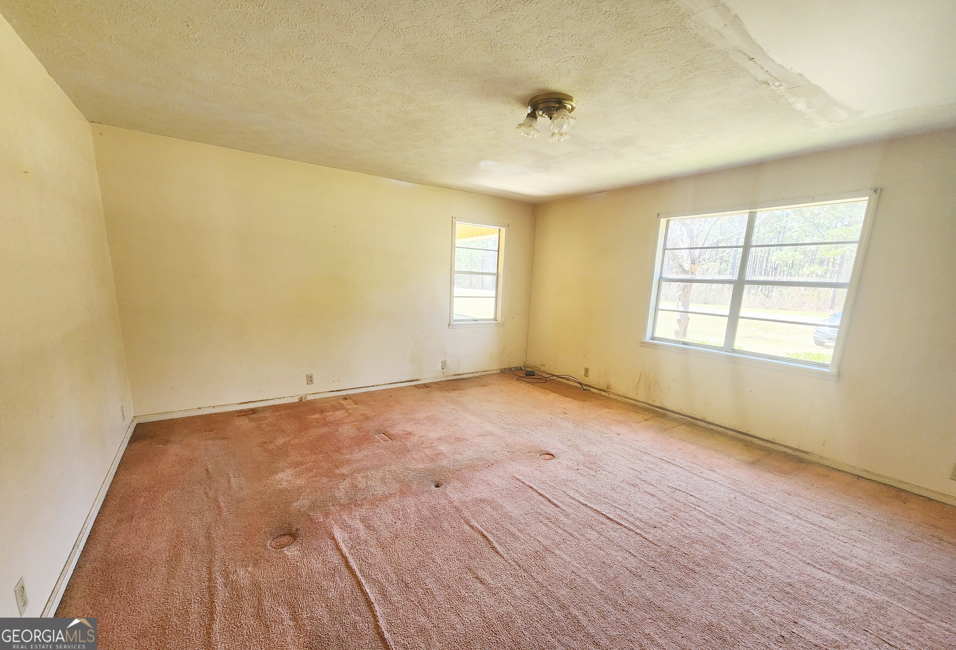 1332 Highway 41 Morgan, GA 39866 - Photo 13 of 23