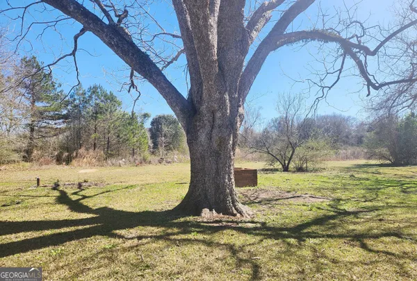 a view of a yard with large trees