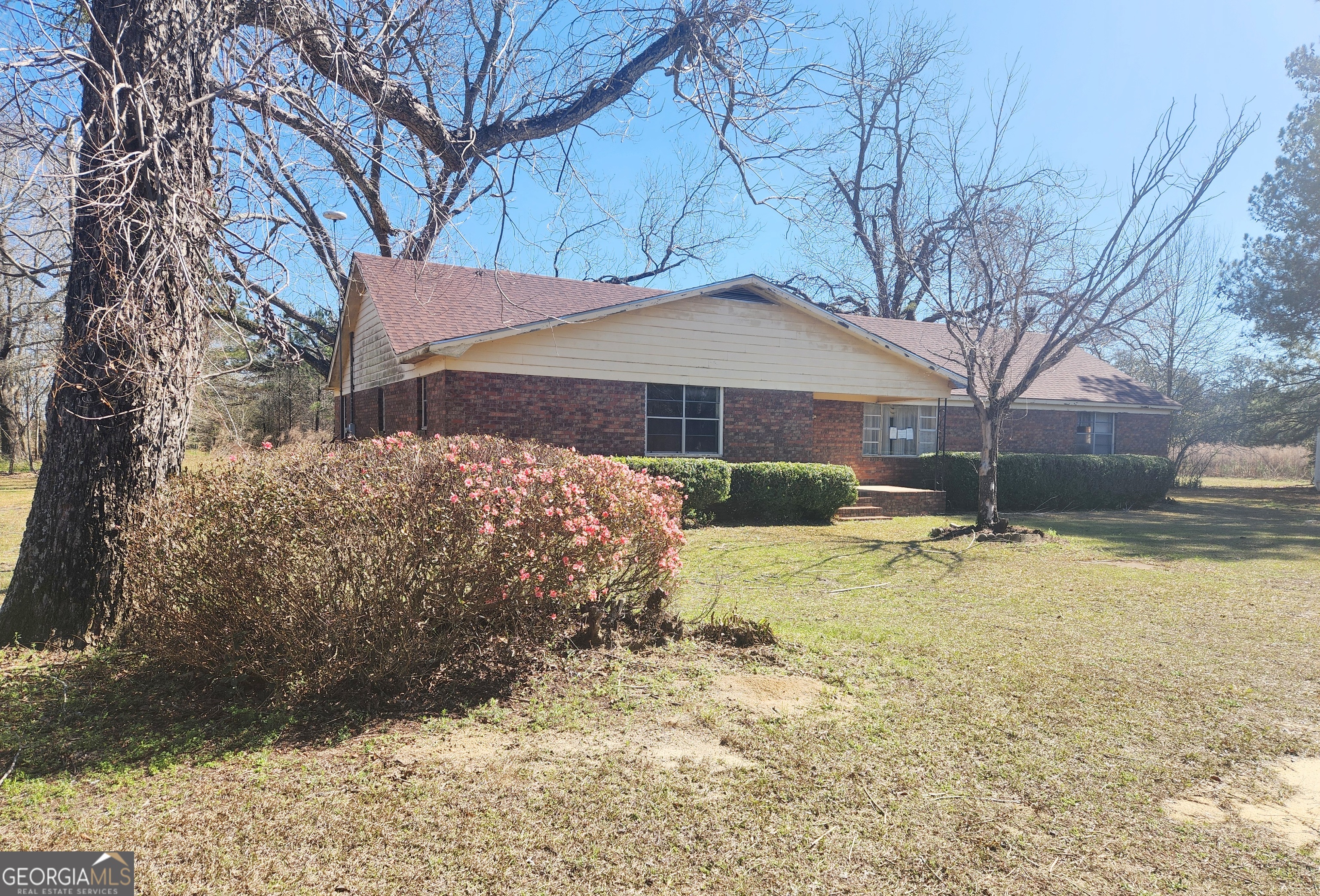 1332 Highway 41 Morgan, GA 39866 - Photo 4 of 23