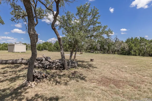 a view of a yard with plants and trees