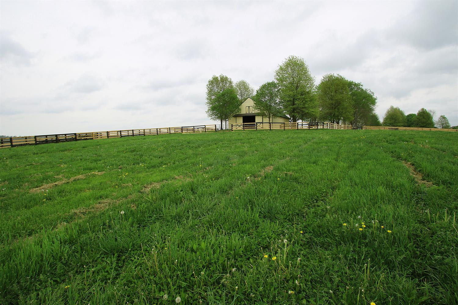 6374 Delaney Ferry Road, Unit EXTENDED Versailles, KY 40383 - Photo 43 of 60 Photo 43