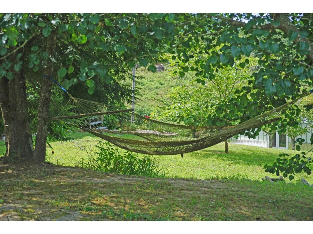 312 South Austin Springs Road Johnson City, TN 37601 - Photo 21 of 27 Photo 21