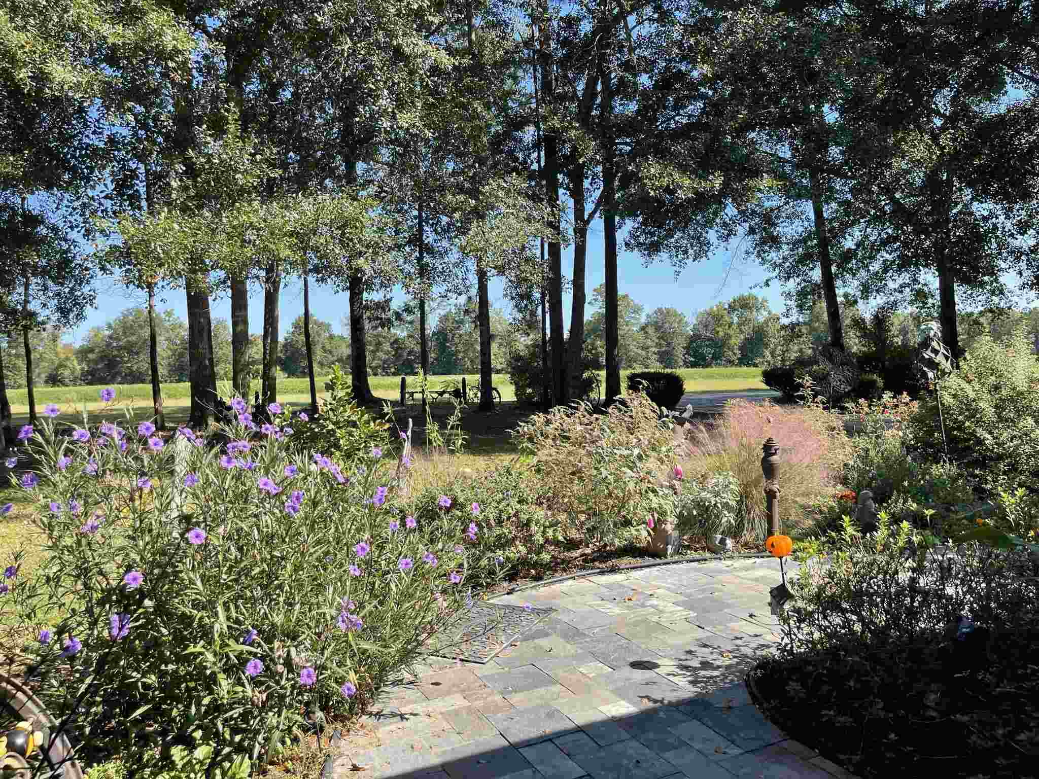 6440 Bethel Road Brewton, AL 36426 - Photo 14 of 50 Gallery Image 14