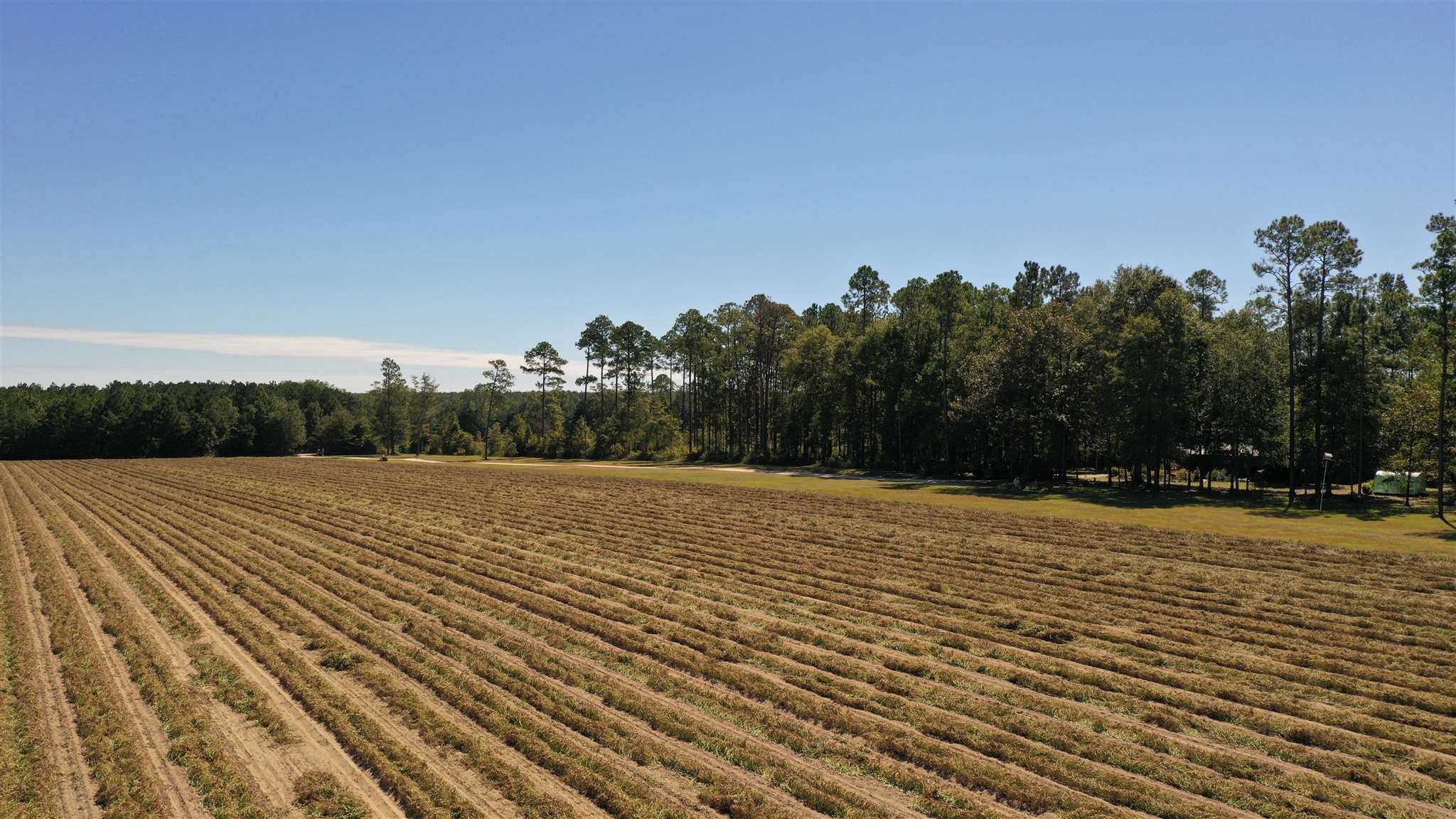 6440 Bethel Road Brewton, AL 36426 - Photo 47 of 50 Gallery Image 47