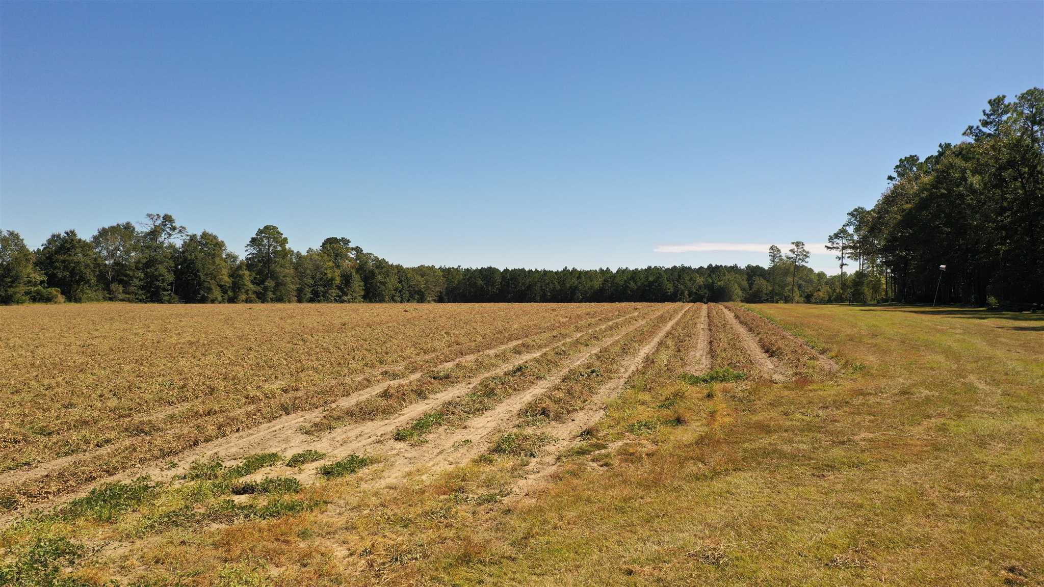 6440 Bethel Road Brewton, AL 36426 - Photo 49 of 50 Gallery Image 49