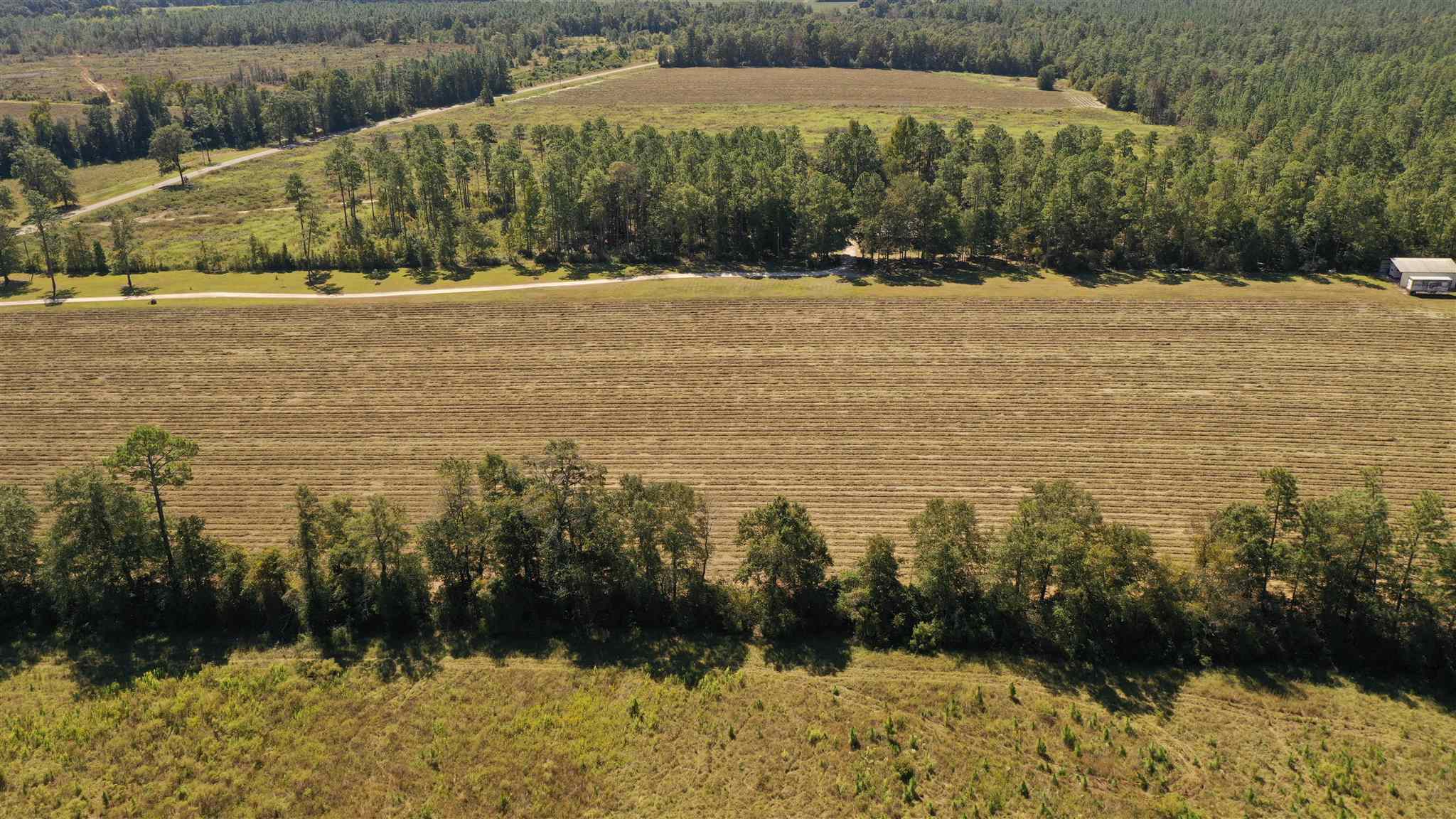 6440 Bethel Road Brewton, AL 36426 - Photo 6 of 50 Gallery Image 6