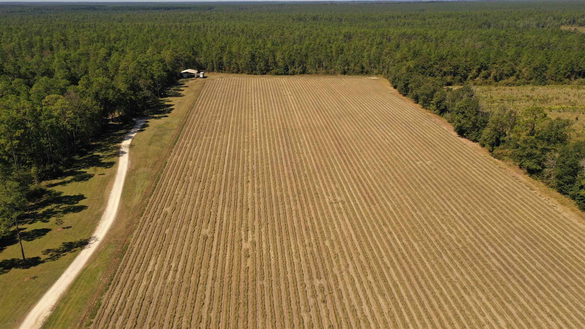 6440 Bethel Road Brewton, AL 36426 - Photo 7 of 50 Gallery Image 7
