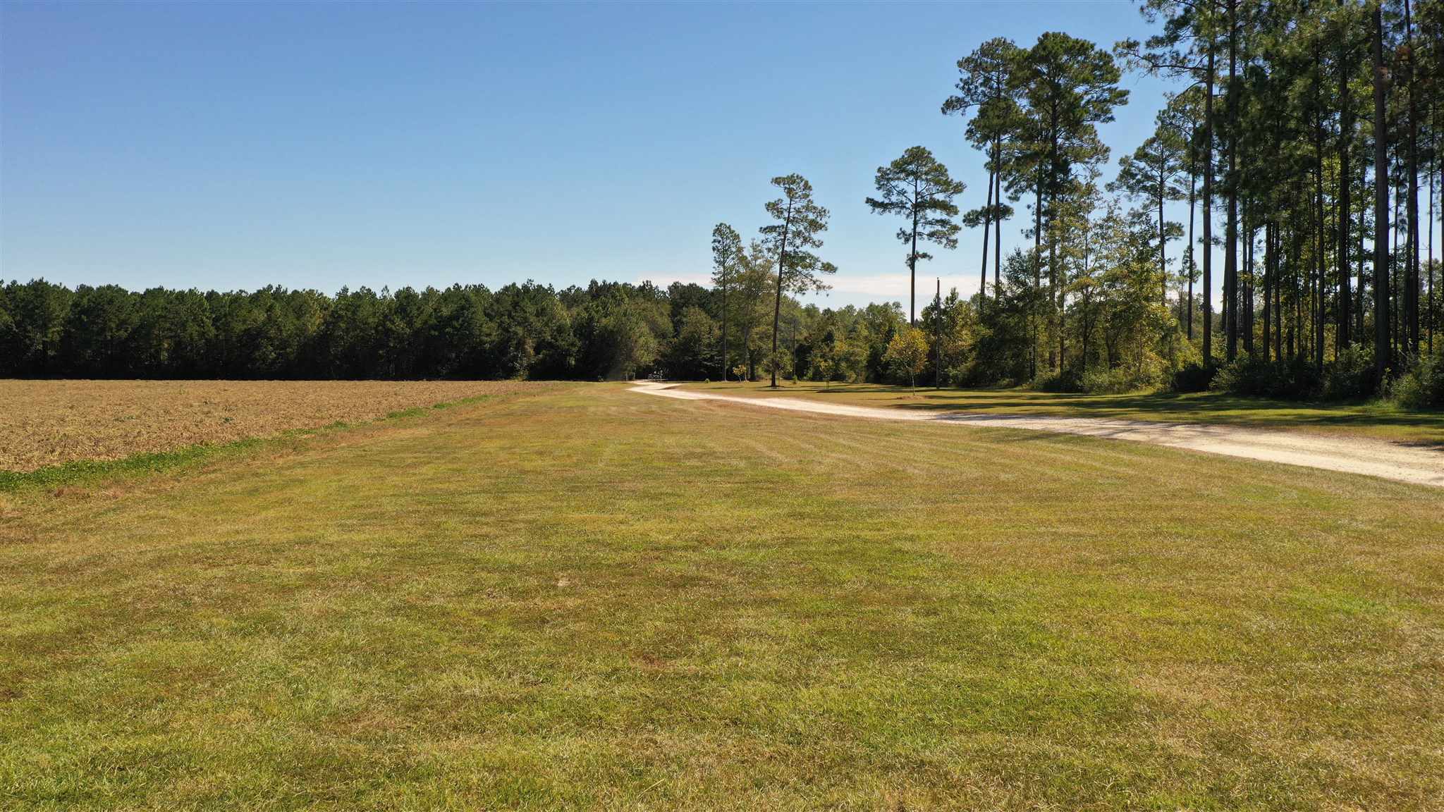 6440 Bethel Road Brewton, AL 36426 - Photo 9 of 50 Gallery Image 9
