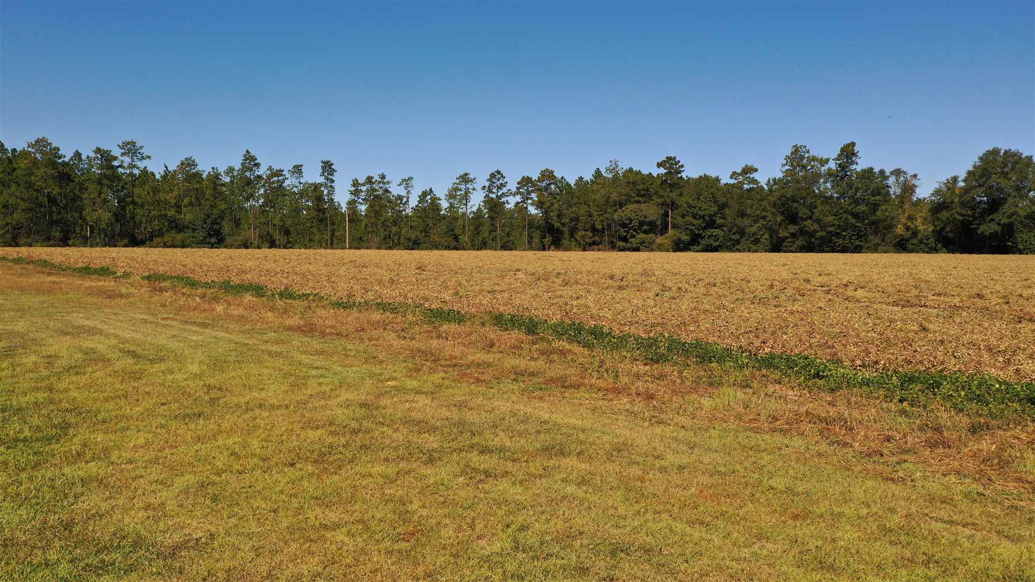 6440 Bethel Road Brewton, AL 36426 - Photo 10 of 50 Gallery Image 10