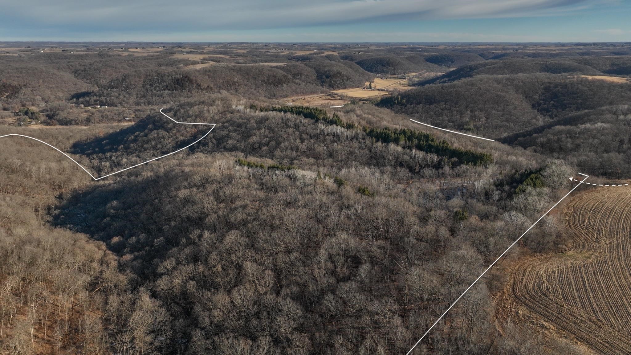 58694 Oak Grove Ridge Road Eastman, WI 54626 - Photo 21 of 50