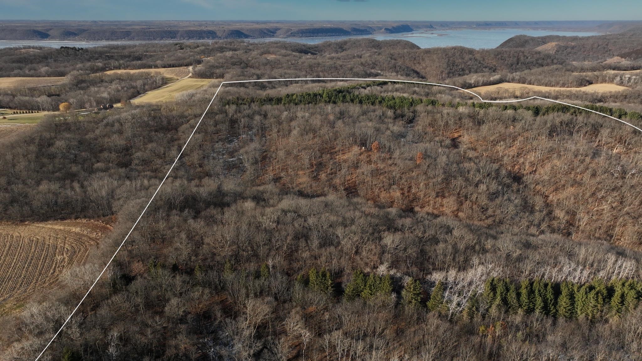 58694 Oak Grove Ridge Road Eastman, WI 54626 - Photo 22 of 50