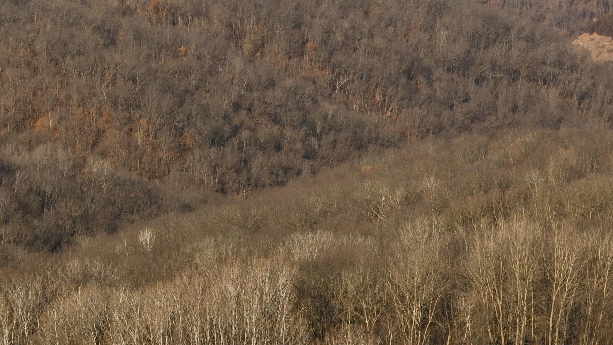 58694 Oak Grove Ridge Road Eastman, WI 54626 - Photo 26 of 50