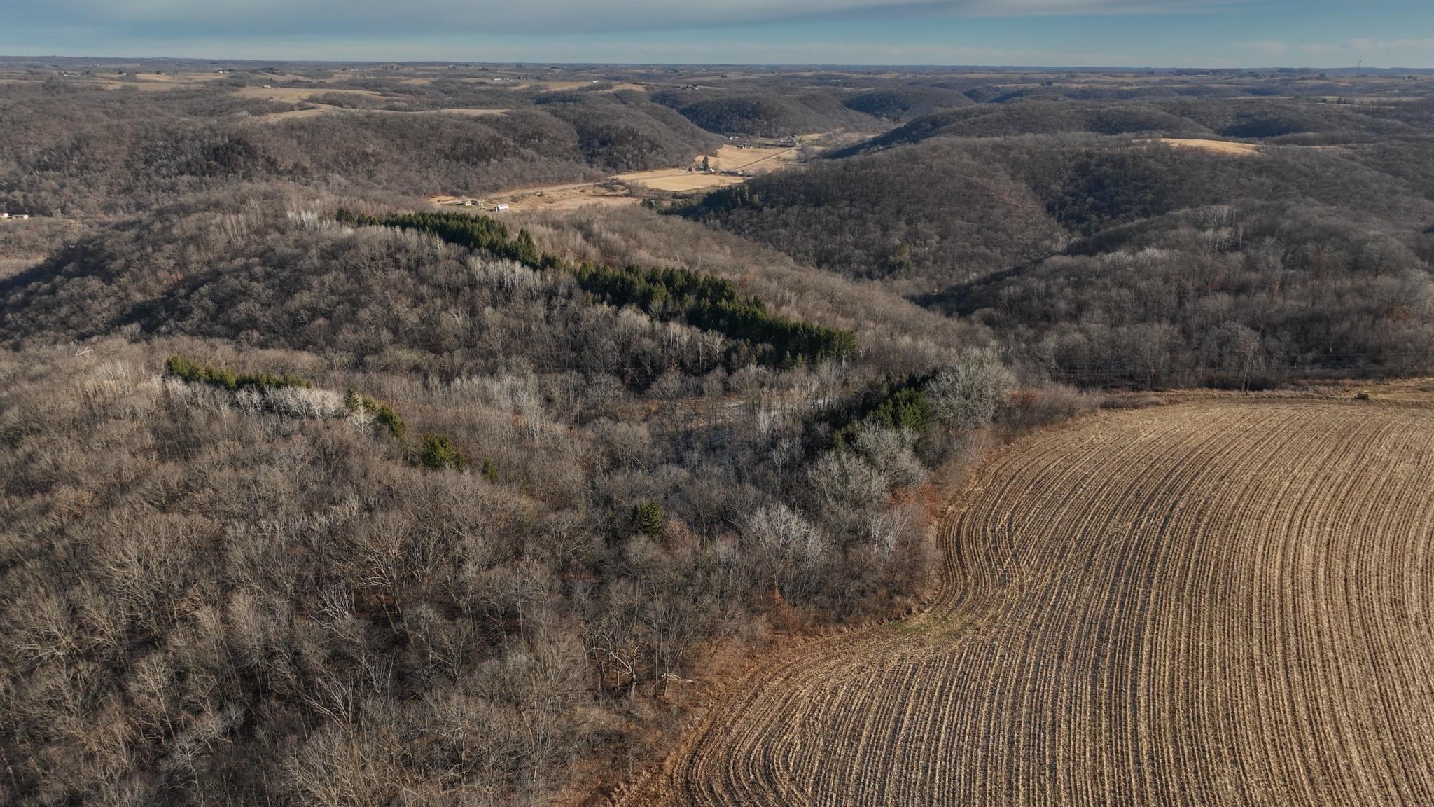58694 Oak Grove Ridge Road Eastman, WI 54626 - Photo 29 of 50