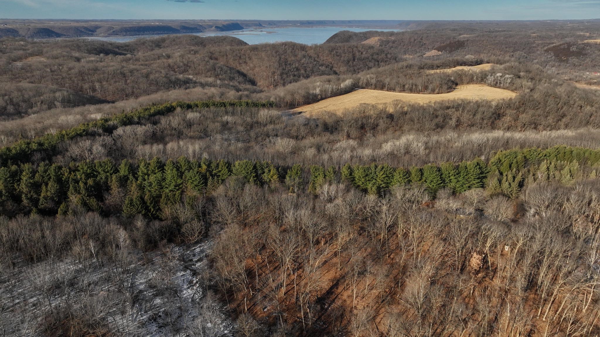 58694 Oak Grove Ridge Road Eastman, WI 54626 - Photo 3 of 50