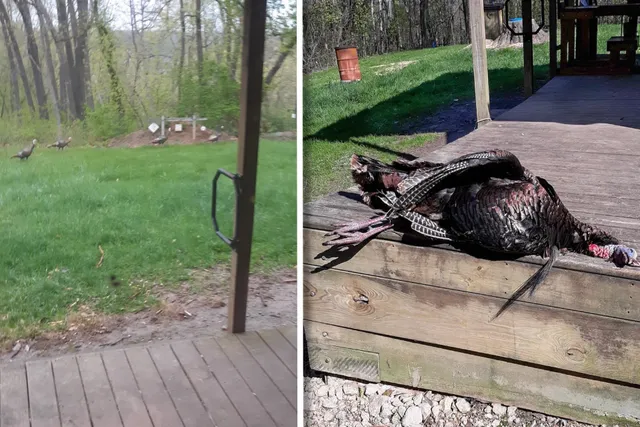 $849,900 | 58694 Oak Grove Ridge Road, Eastman, WI 54626