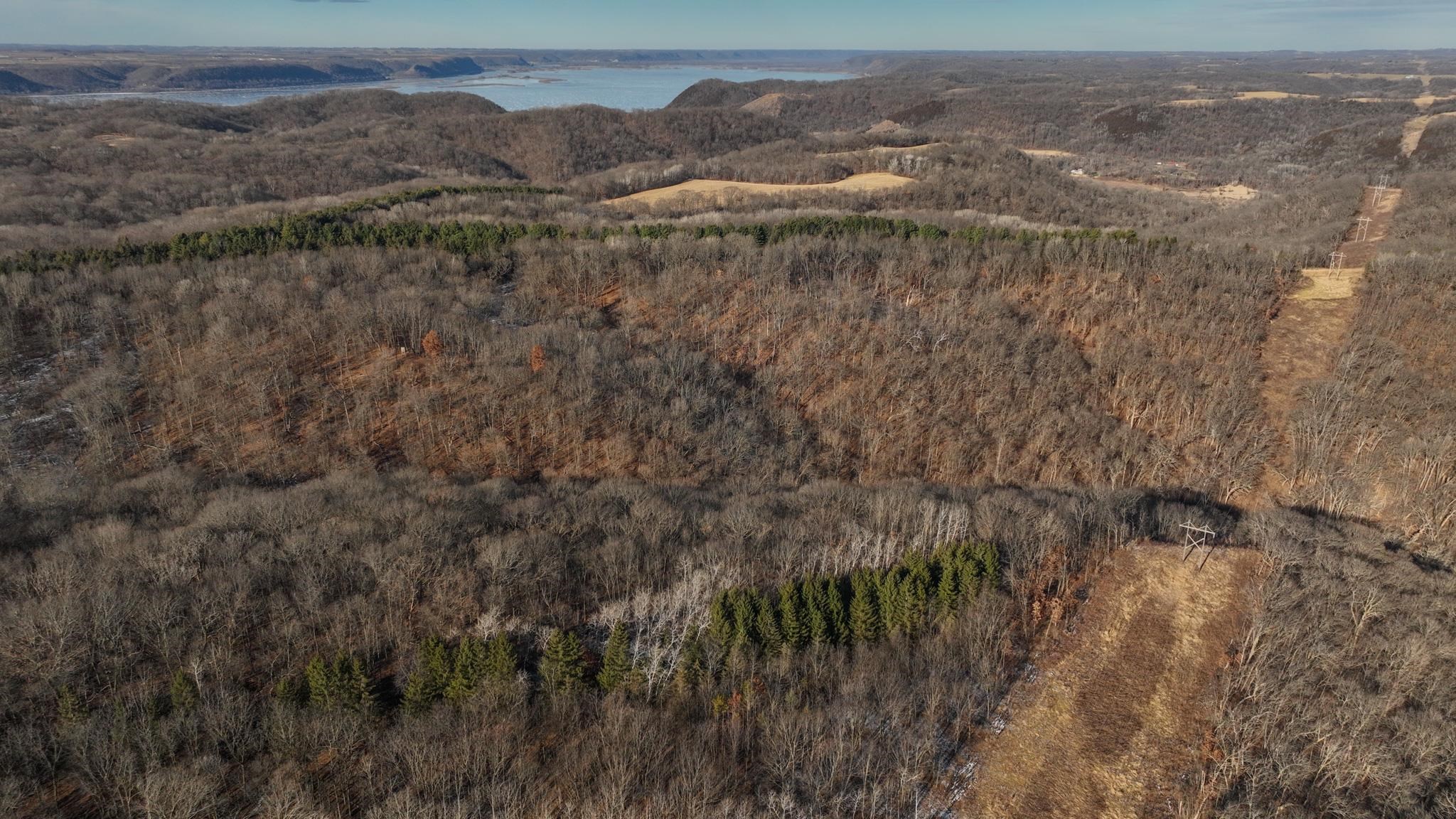58694 Oak Grove Ridge Road Eastman, WI 54626 - Photo 35 of 50