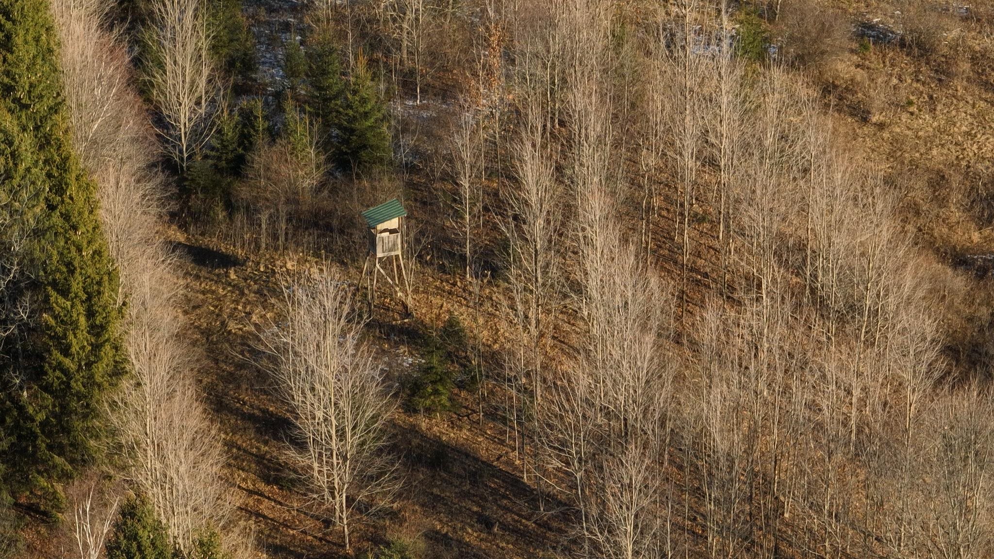 58694 Oak Grove Ridge Road Eastman, WI 54626 - Photo 40 of 50