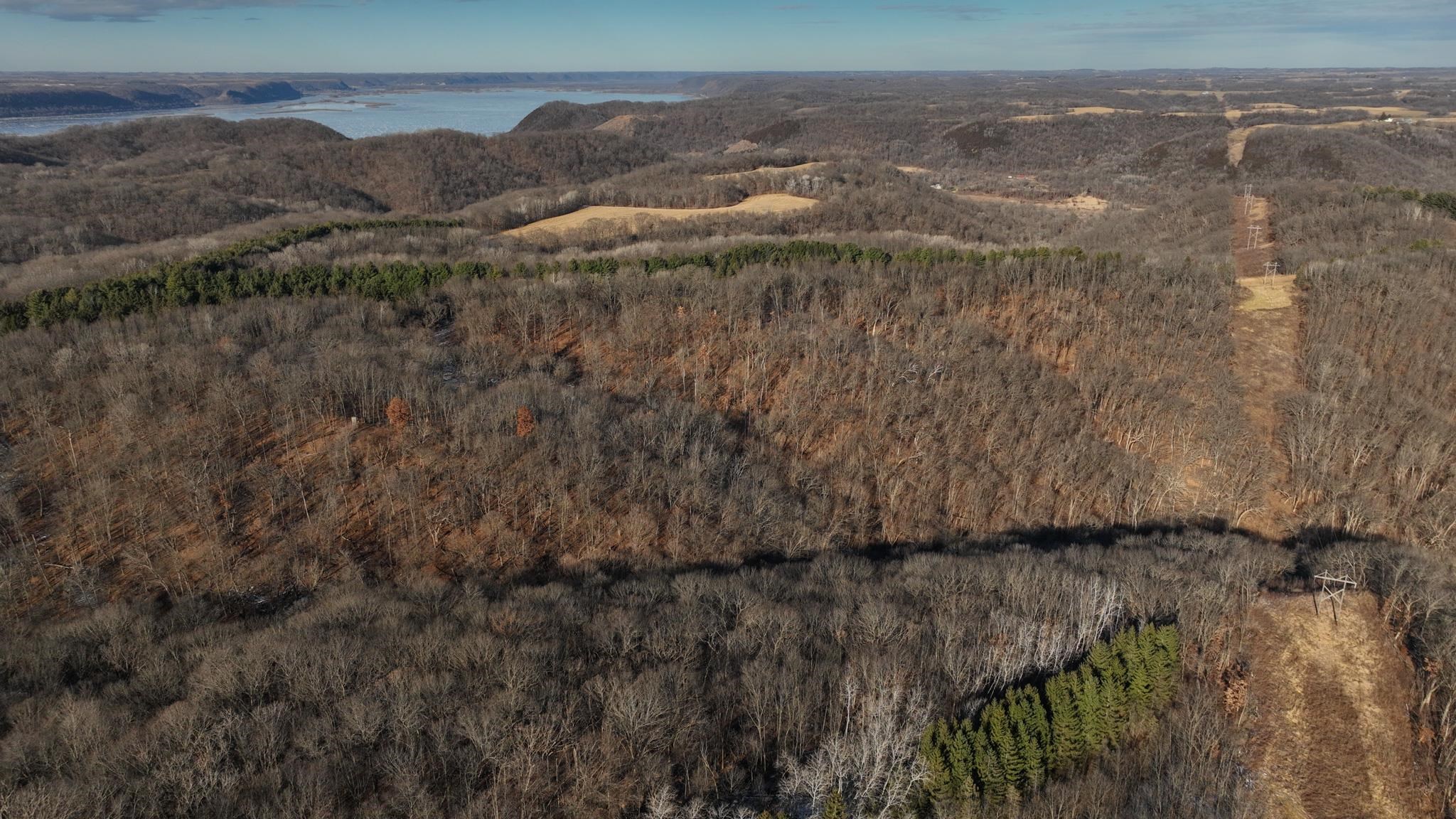 58694 Oak Grove Ridge Road Eastman, WI 54626 - Photo 41 of 50
