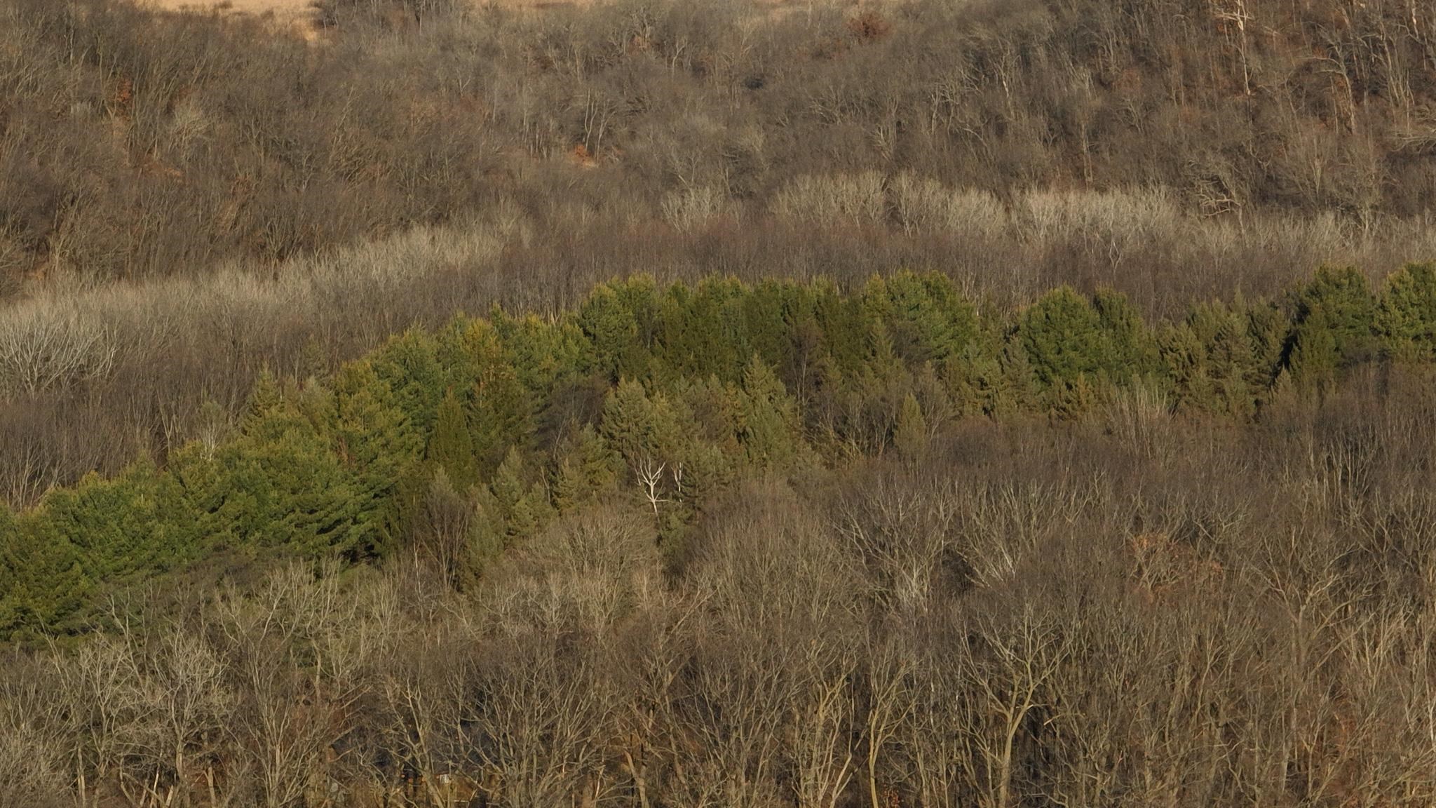 58694 Oak Grove Ridge Road Eastman, WI 54626 - Photo 42 of 50