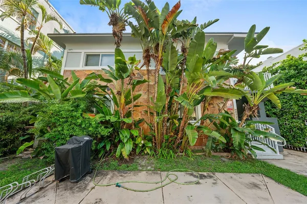 a plant that is in front of a house