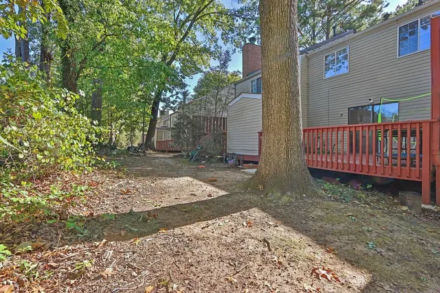 a view of a yard with plants and tree
