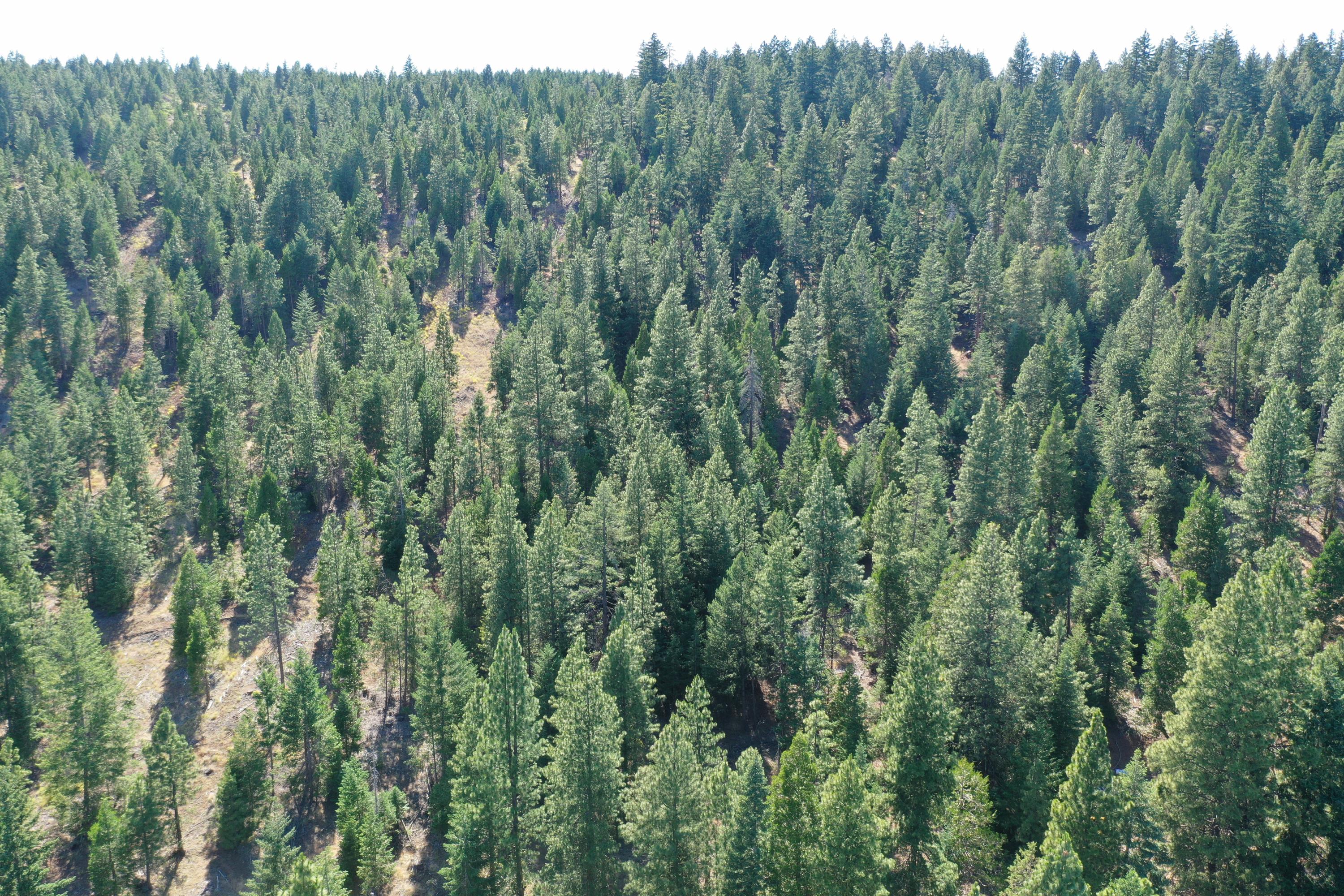 Christopher Road Keno, OR 97627 - Photo 11 of 14 Christopher Hillside View