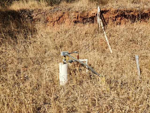 a view of backyard with trees