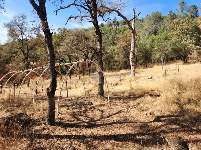a view of a backyard with table and chairs and a fire pit