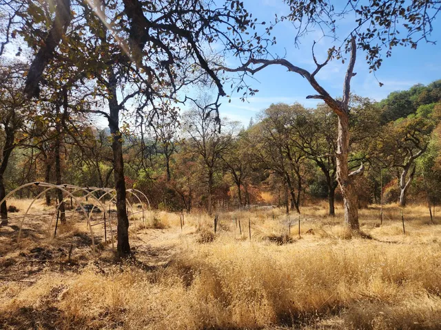 $170,000 | 19600 Martinsburg Lane, Penn Valley, CA 95946