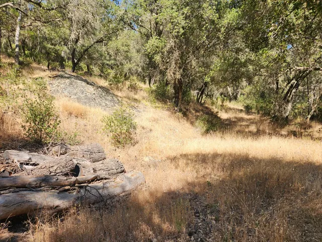 a view of lake from yard