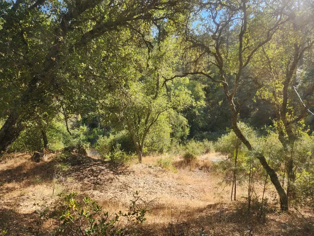a view of a lake with a yard