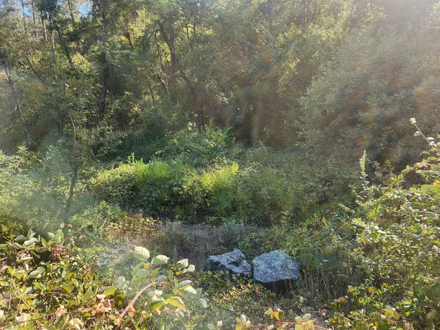 a view of a backyard of the house