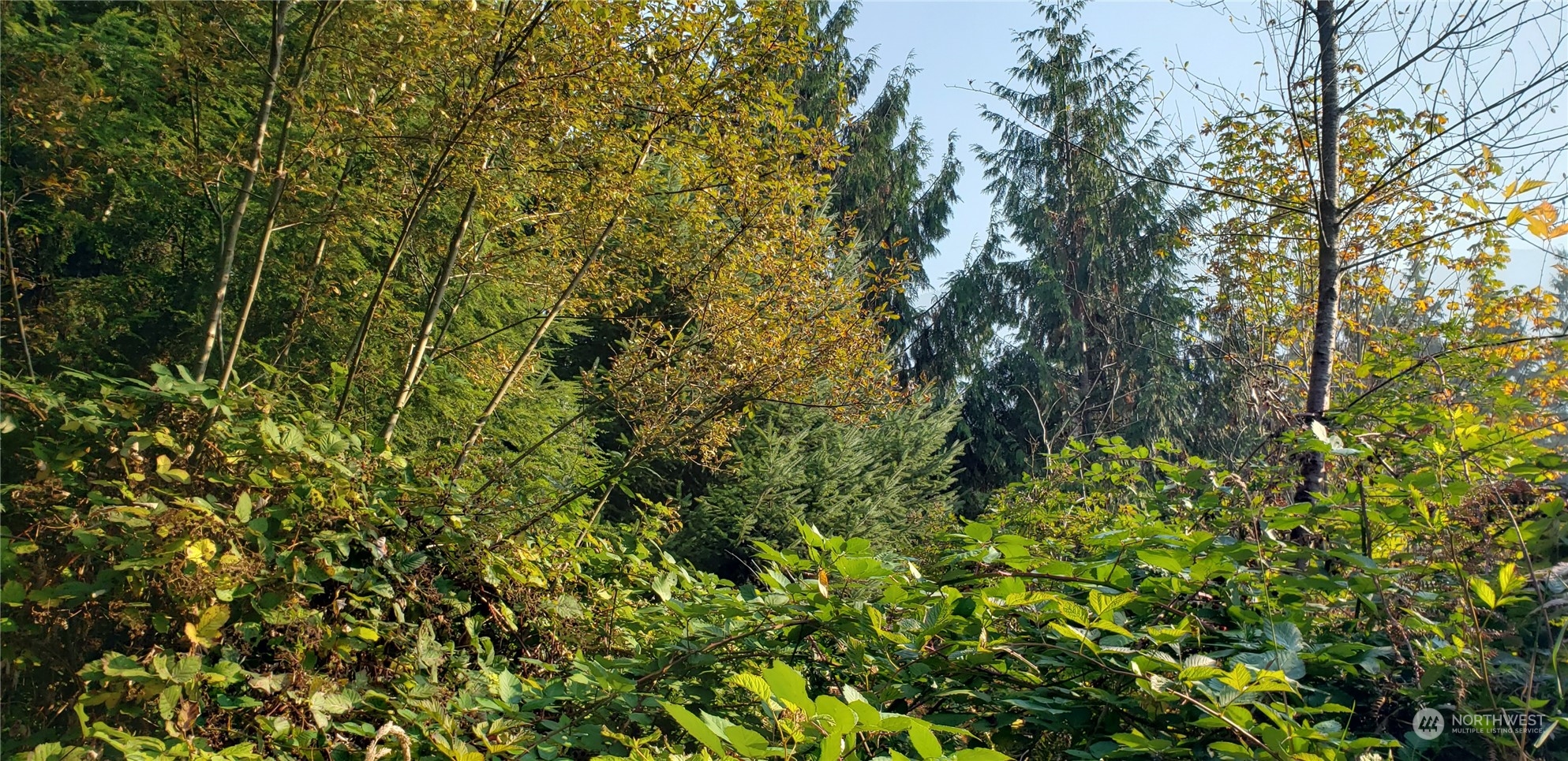 209-xx Lake Riley Road Arlington, WA 98223 - Photo 11 of 24 Gallery Image 11