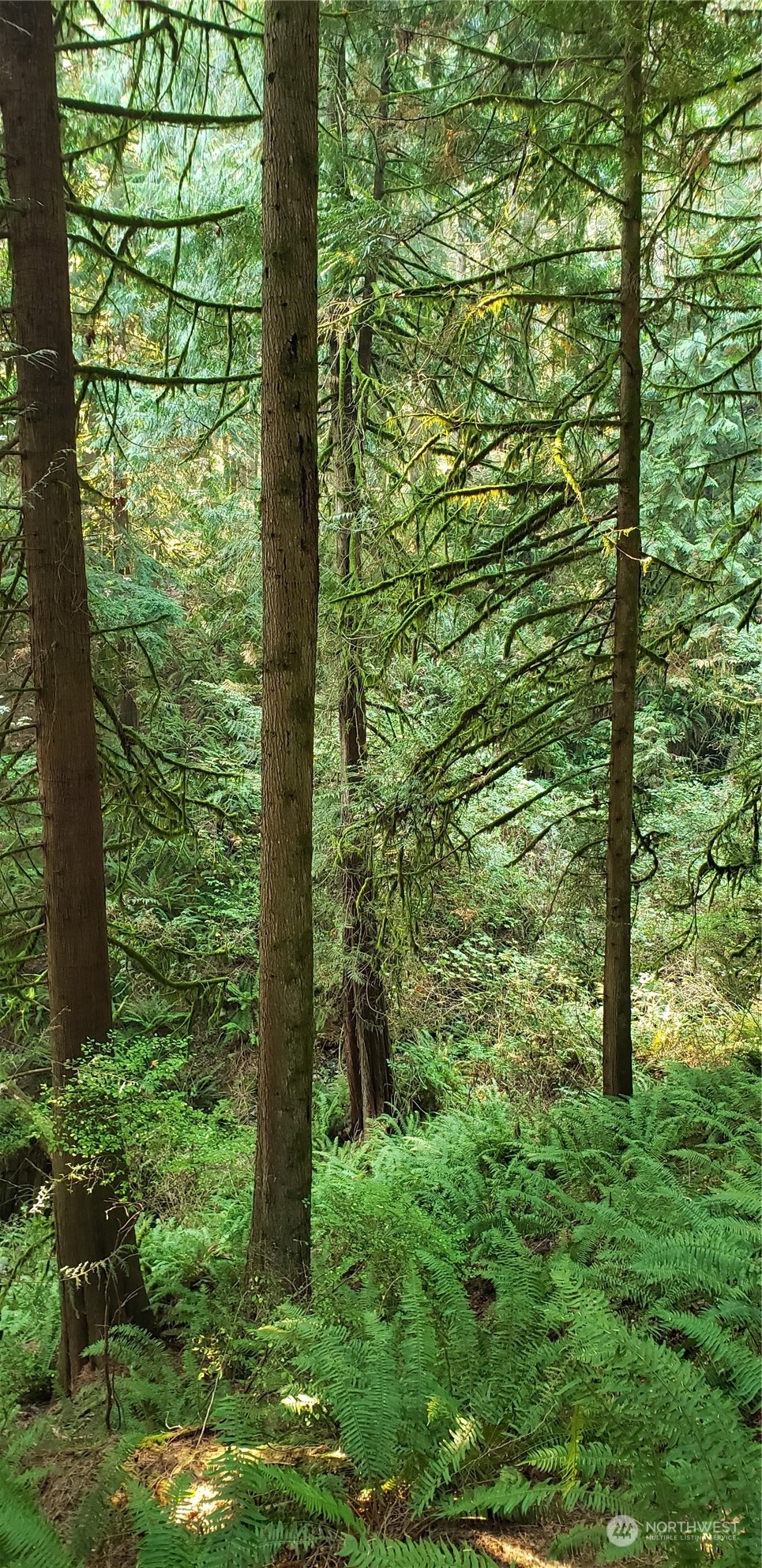209-xx Lake Riley Road Arlington, WA 98223 - Photo 21 of 24 Gallery Image 21