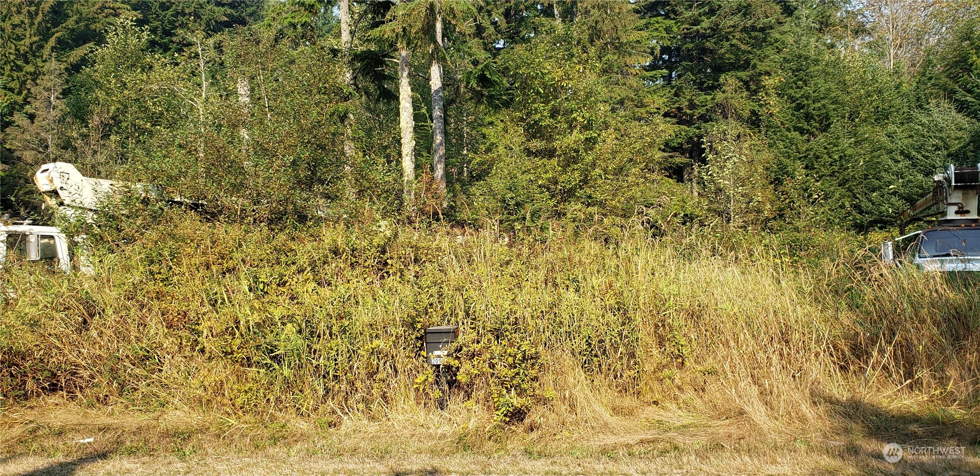 209-xx Lake Riley Road Arlington, WA 98223 - Photo 7 of 24 Gallery Image 7