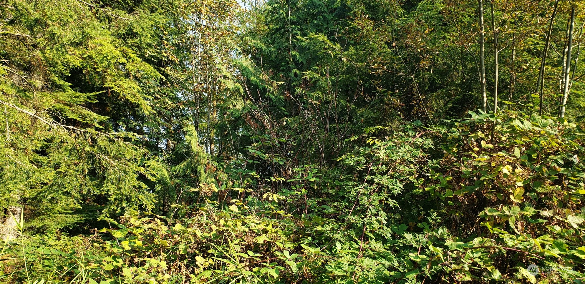209-xx Lake Riley Road Arlington, WA 98223 - Photo 10 of 24 Gallery Image 10