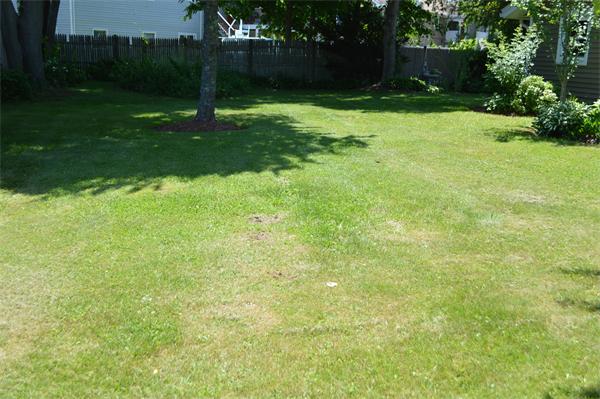 25 Wedgemere Road Beverly, MA 01915 - Photo 11 of 22 a view of a garden with basketball court