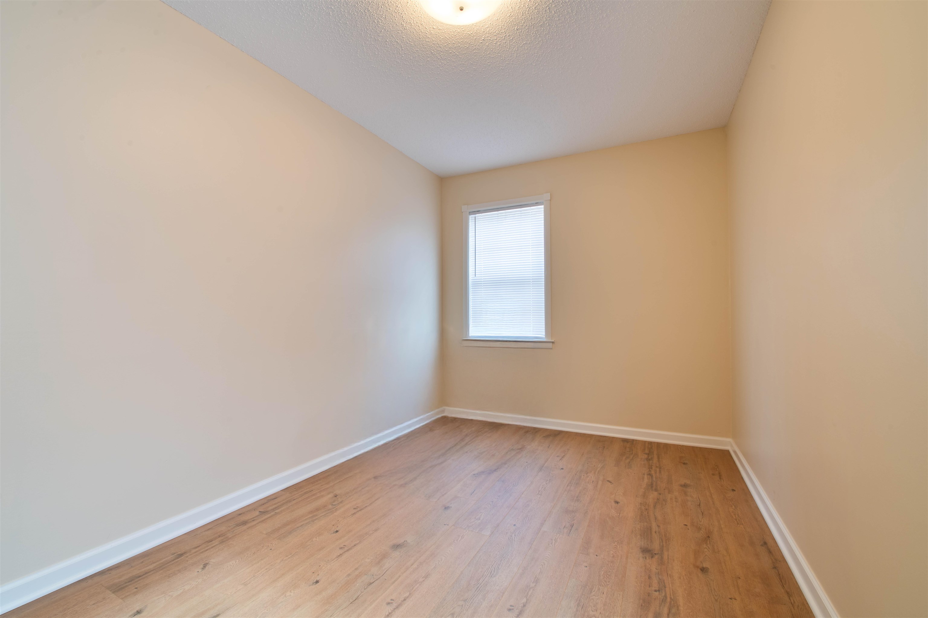 1642 Brierbrook Road Germantown, TN 38138 - Photo 18 of 37 Office room with light wood-type flooring and a textured ceiling