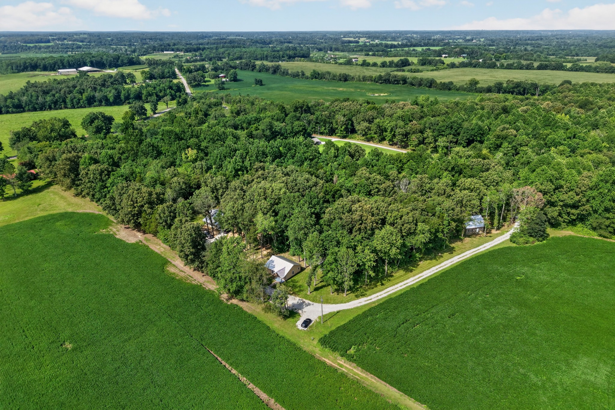259 Jim Warren Road McMinnville, TN 37110 - Photo 7 of 68