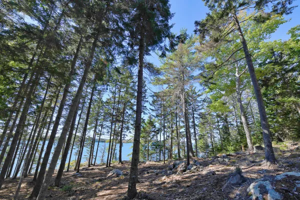 $599,000 | Lot 6 Sunset Road, Brooksville, ME 04617