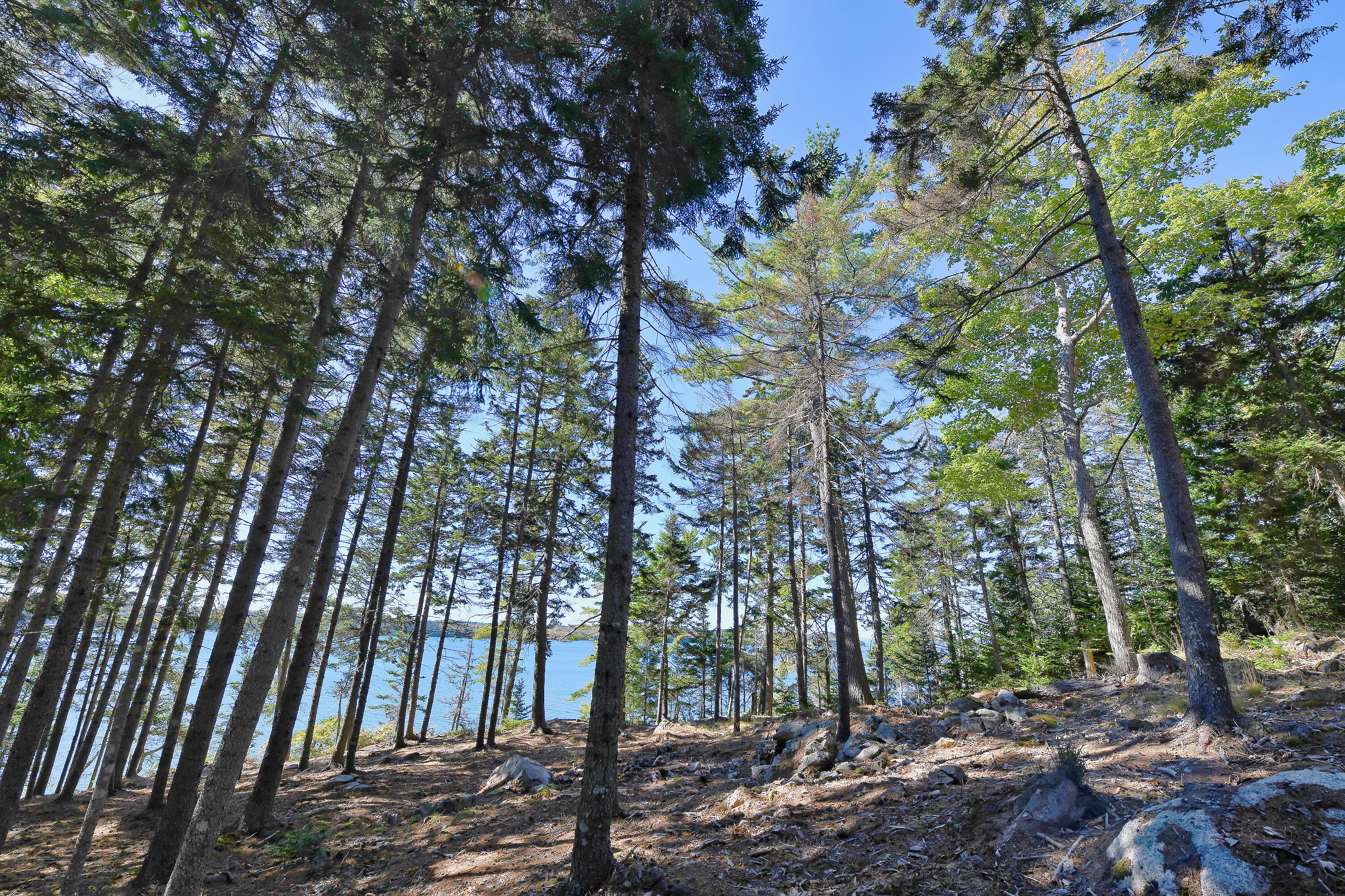 Lot 6 Sunset Road Brooksville, ME 04617 - Photo 12 of 35 SunsetRoad_010