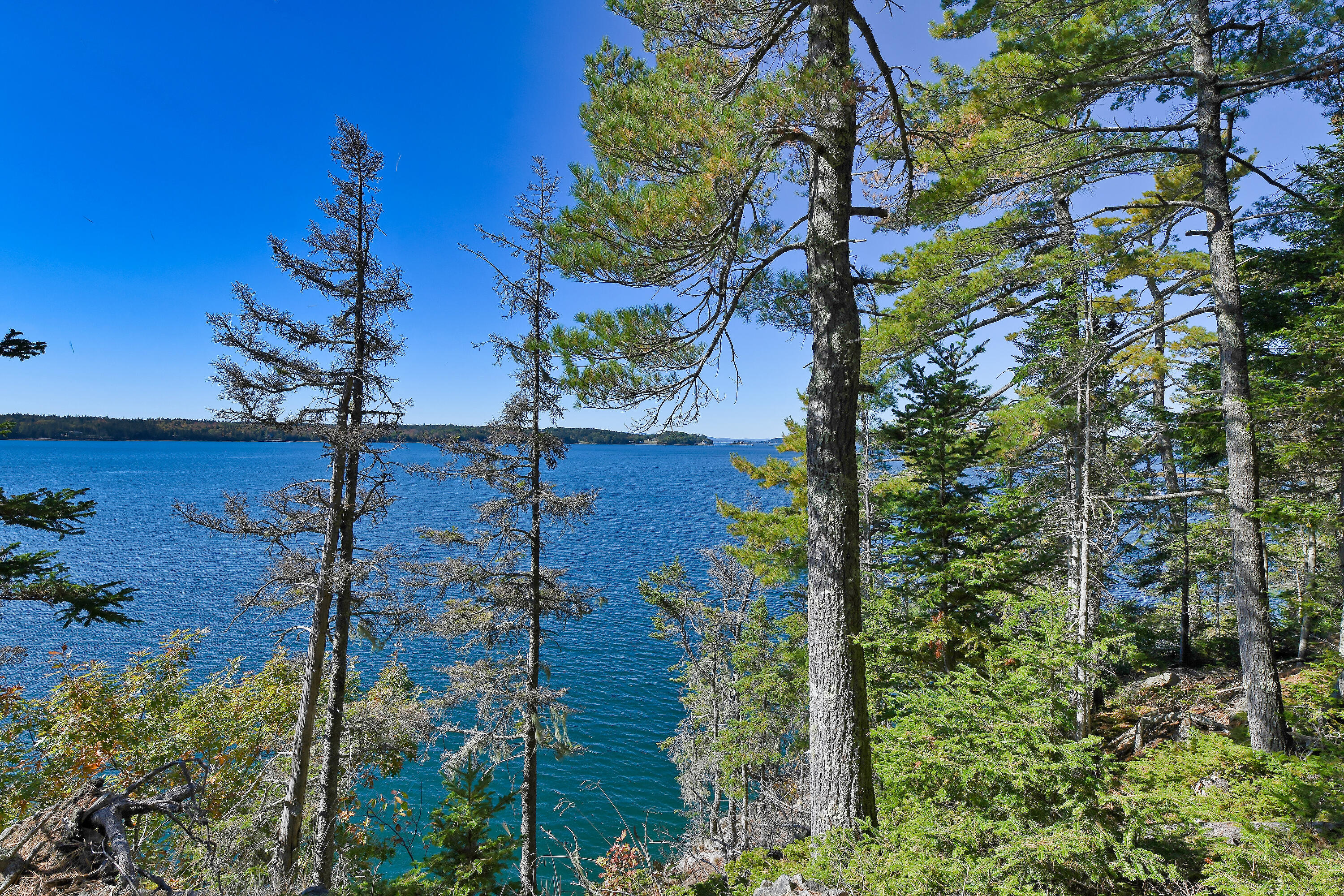 Lot 6 Sunset Road Brooksville, ME 04617 - Photo 14 of 35 SunsetRoad_012