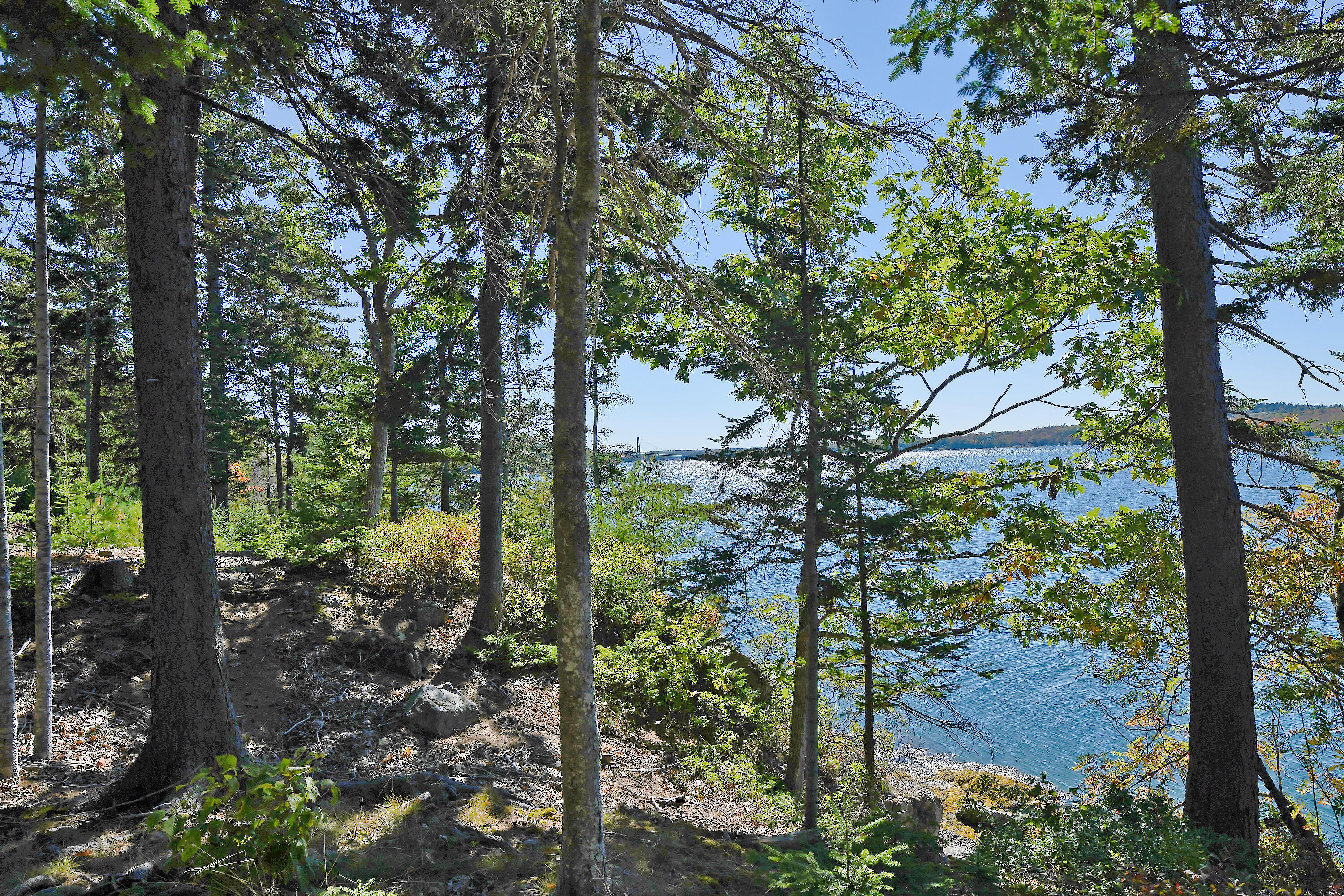 Lot 6 Sunset Road Brooksville, ME 04617 - Photo 18 of 35 SunsetRoad_016