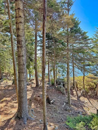 $599,000 | Lot 6 Sunset Road, Brooksville, ME 04617