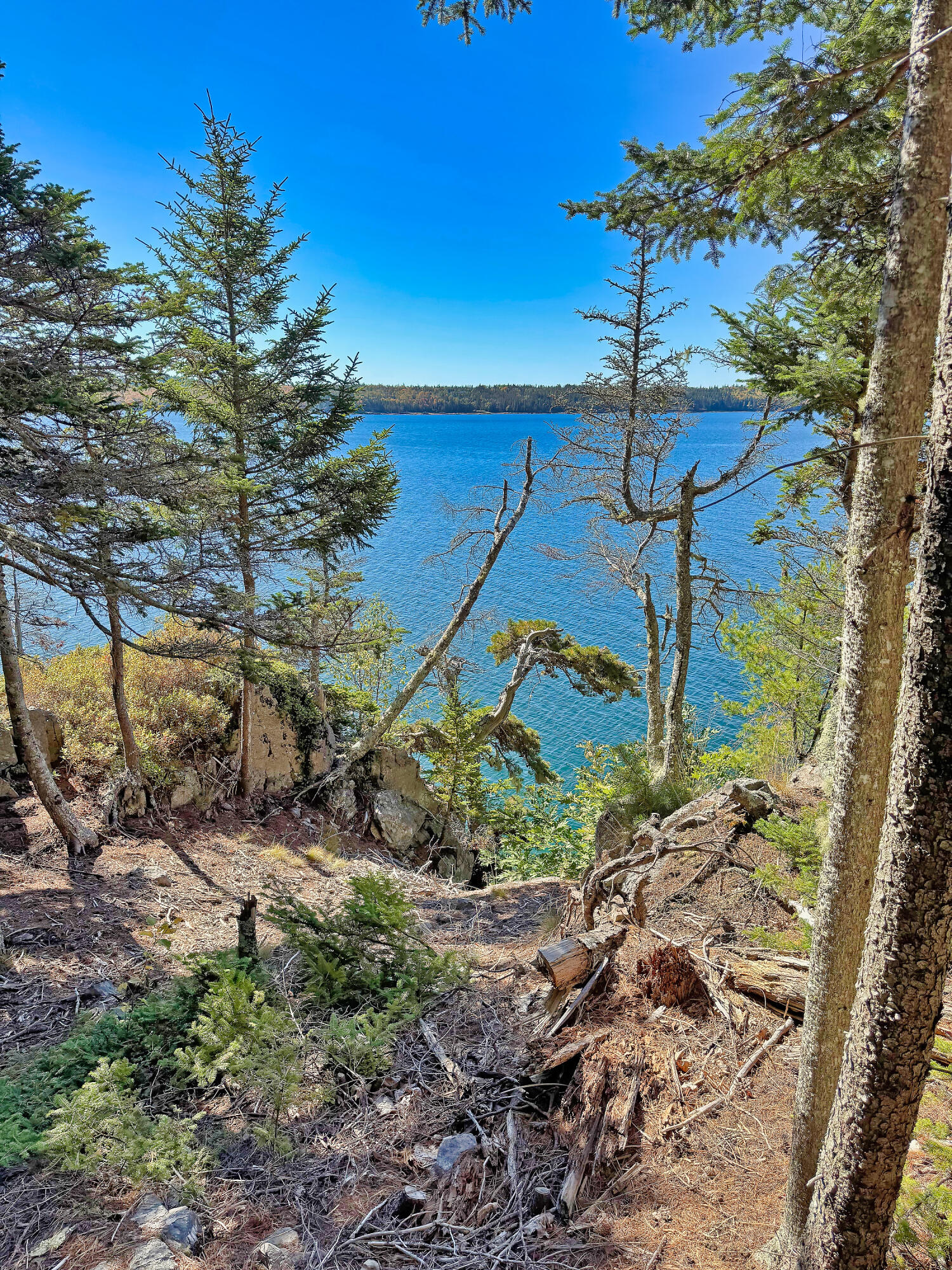 Lot 6 Sunset Road Brooksville, ME 04617 - Photo 26 of 35 SunsetRoad_024