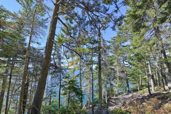 $599,000 | Lot 6 Sunset Road, Brooksville, ME 04617